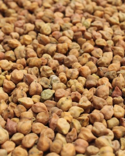 Chickpeas Desi