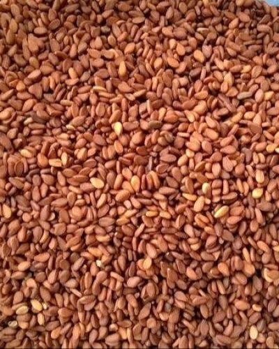 Reddish Sesame Seeds